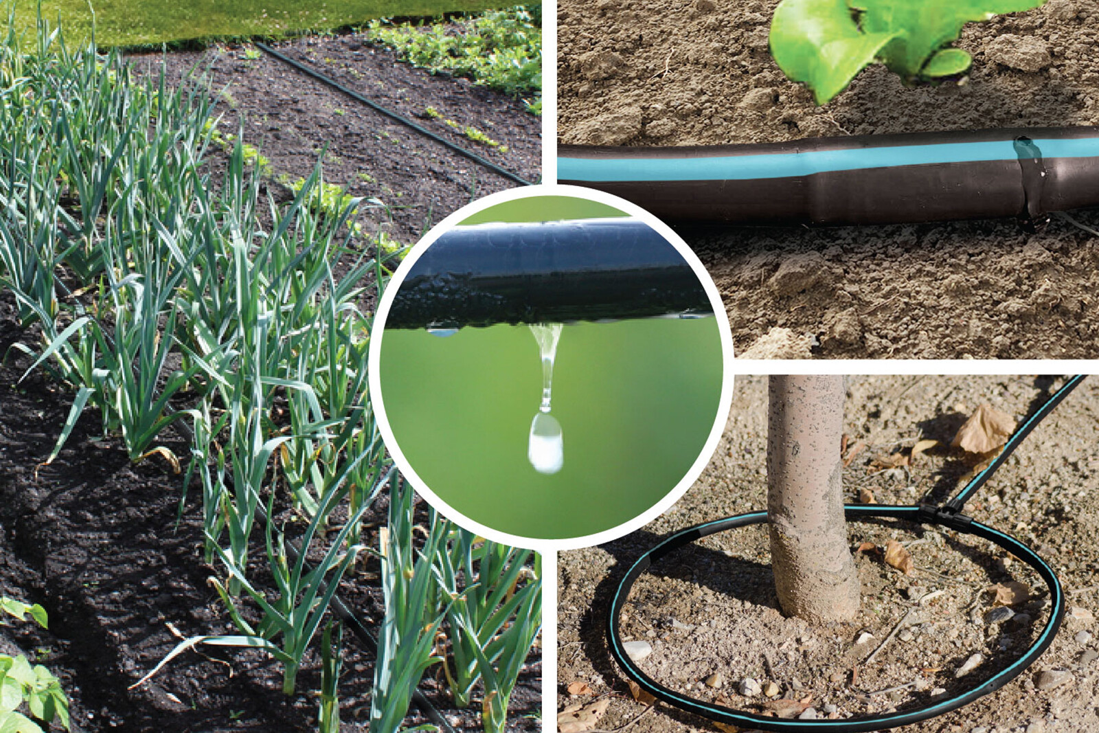 Mircro irrigation tubing being used in in a garden